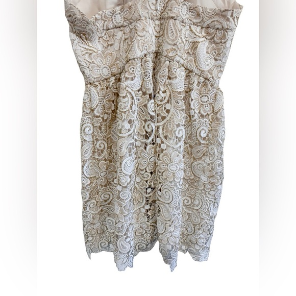 Club Monaco - Doina Cream and Gold Lace Eyelet Mini Dress - Picture 9 of 11